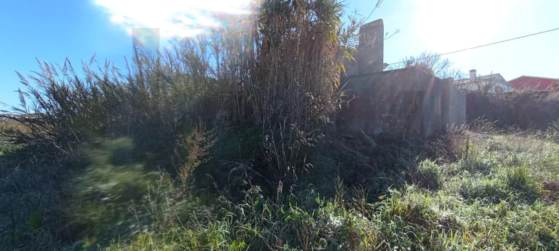 Terreno para Venda em São Pedro da Cadeira Foto 13