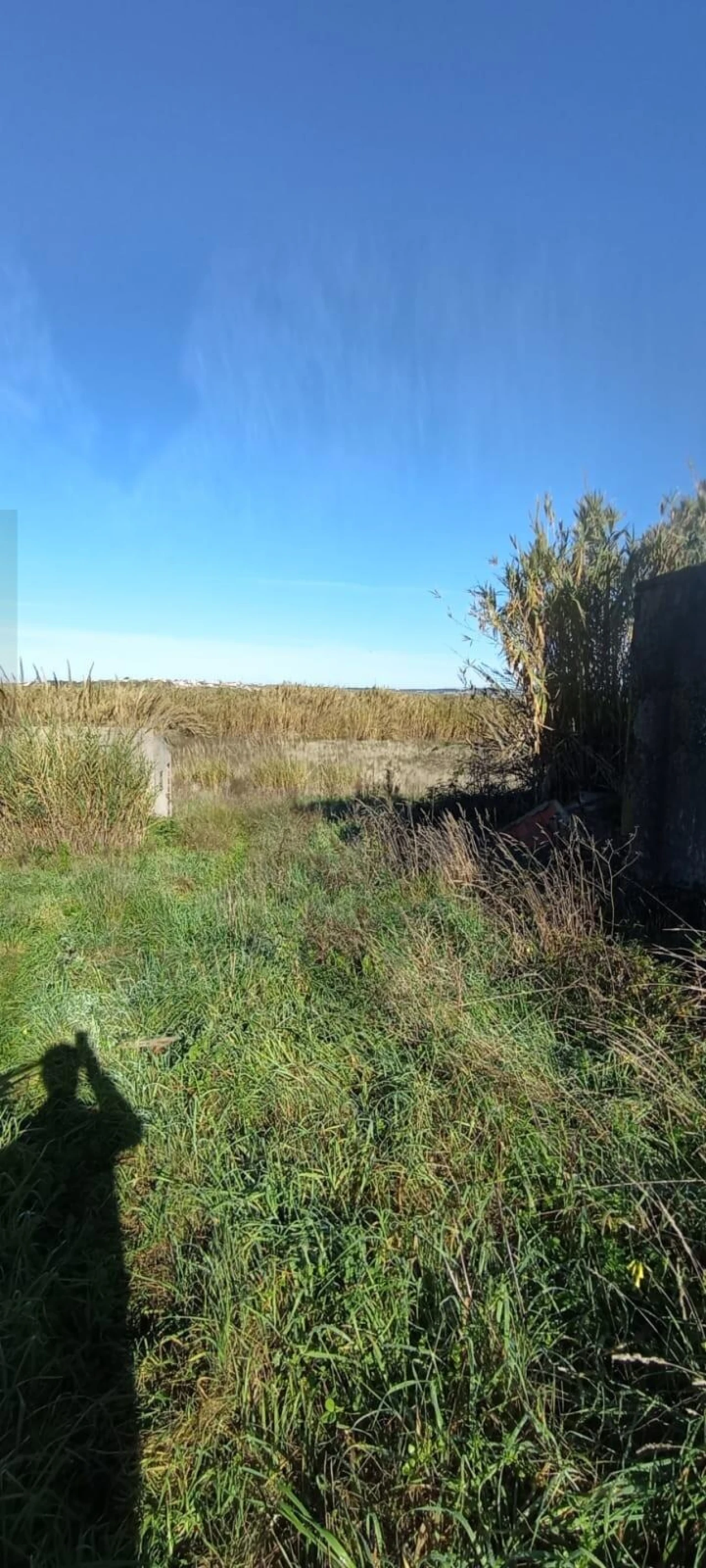 Terreno para Venda em São Pedro da Cadeira Foto 11