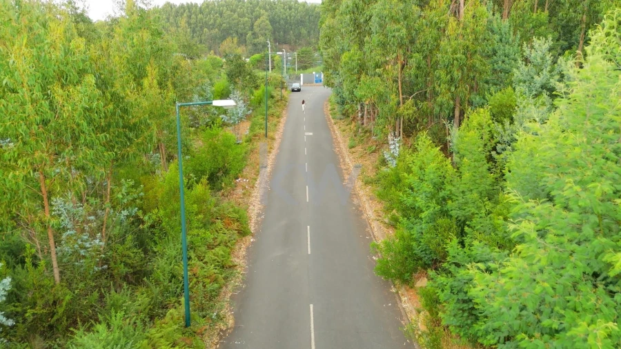 Terreno para Venda em Camacha Foto 10