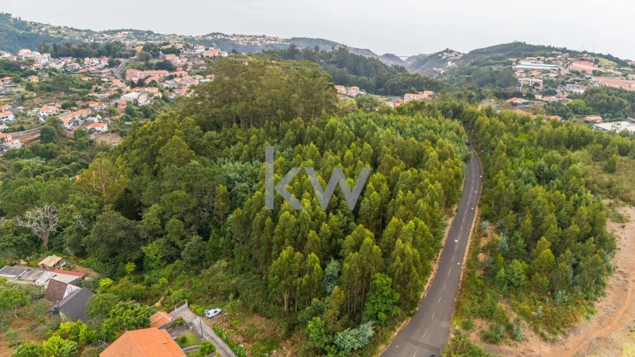 Terreno para Venda em Camacha Foto 9