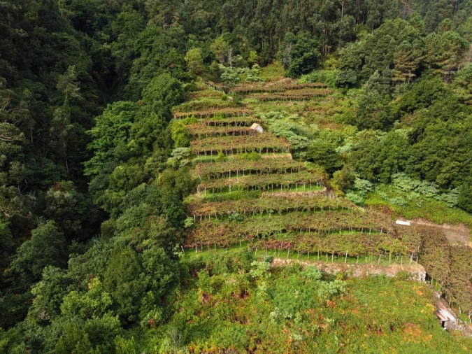 Terreno para Venda em São Vicente Foto 3