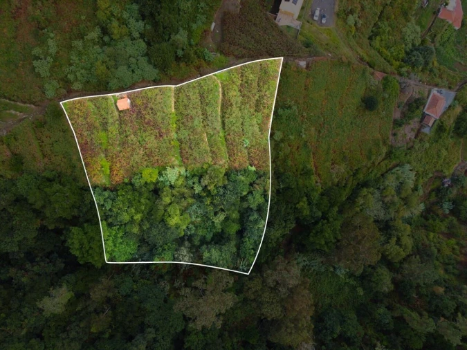 Terreno para Venda em São Vicente Foto 8