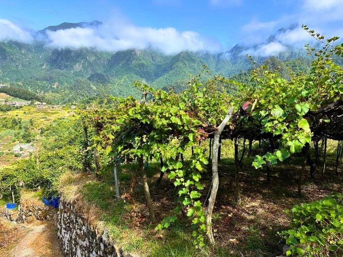 Terreno para Venda em São Vicente Foto 1