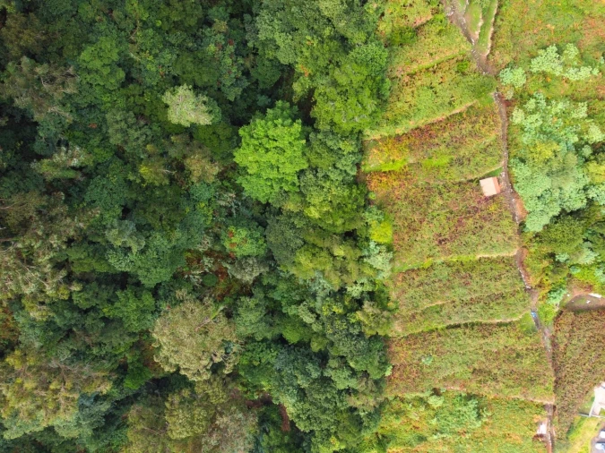 Terreno para Venda em São Vicente Foto 5