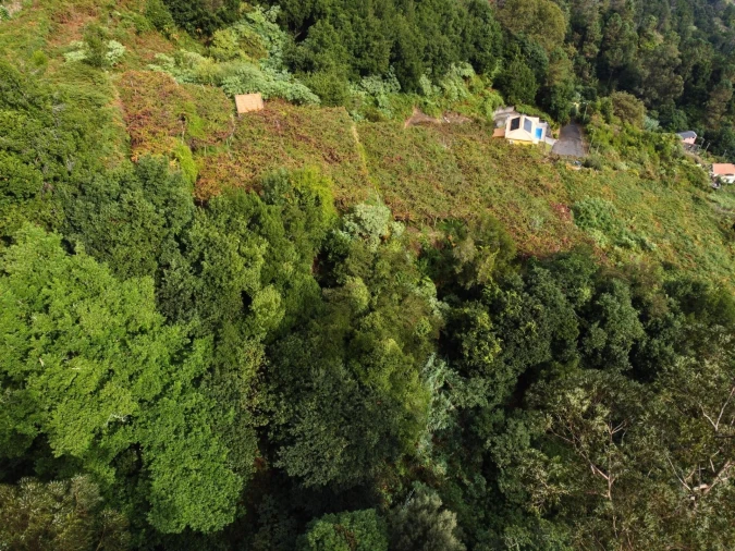 Terreno para Venda em São Vicente Foto 10