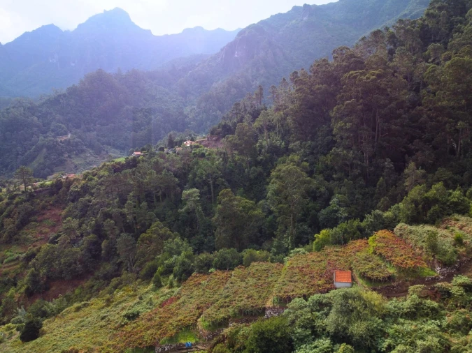 Terreno para Venda em São Vicente Foto 12