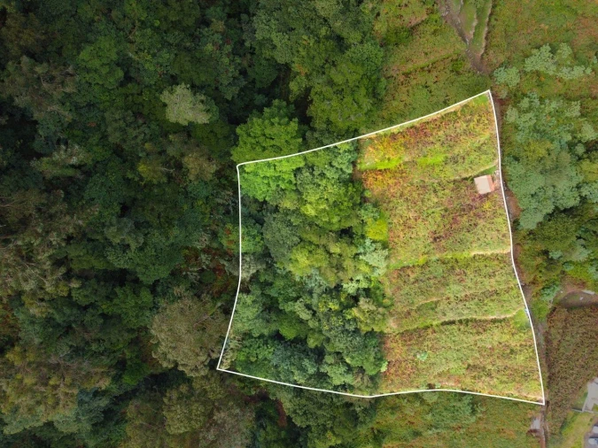Terreno para Venda em São Vicente Foto 6