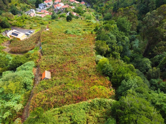 Terreno para Venda em São Vicente Foto 13