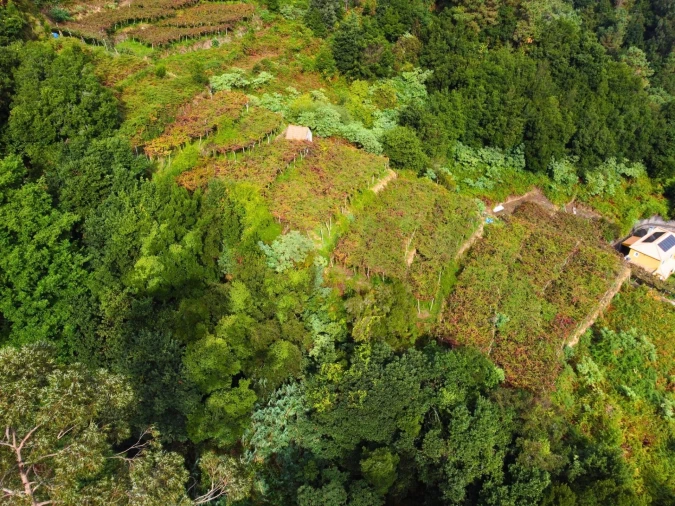 Terreno para Venda em São Vicente Foto 4
