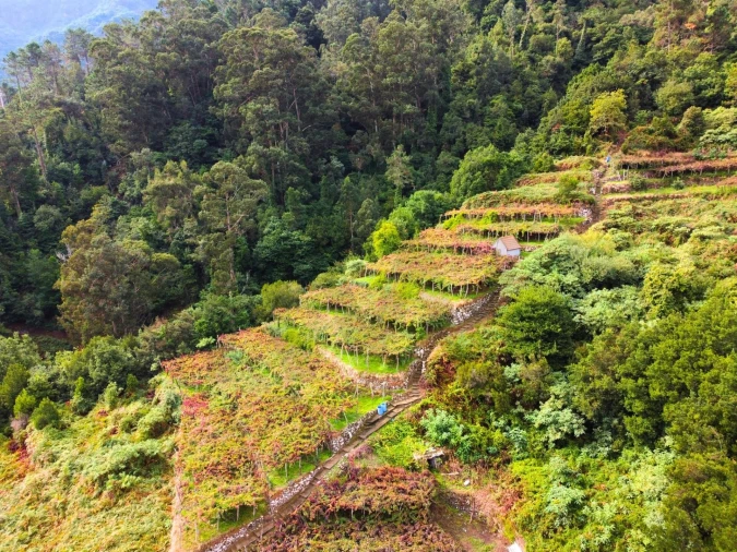 Terreno para Venda em São Vicente Foto 2