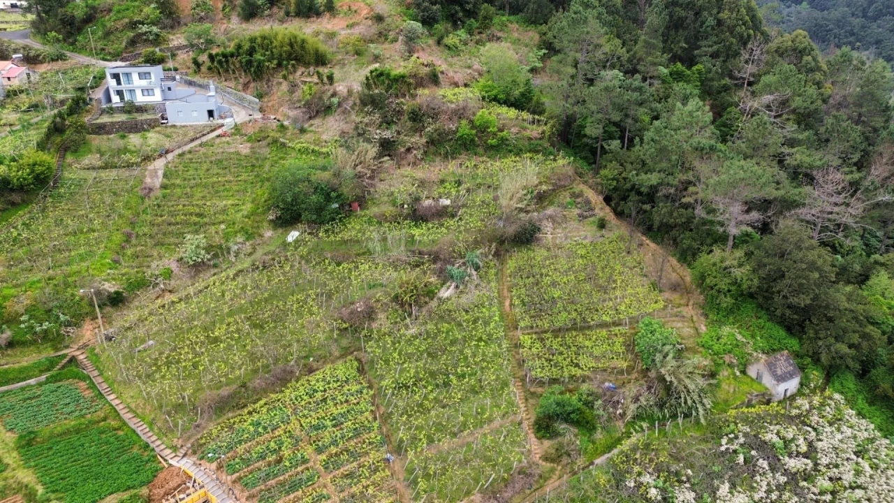 Terreno para Venda em São Vicente Foto 8