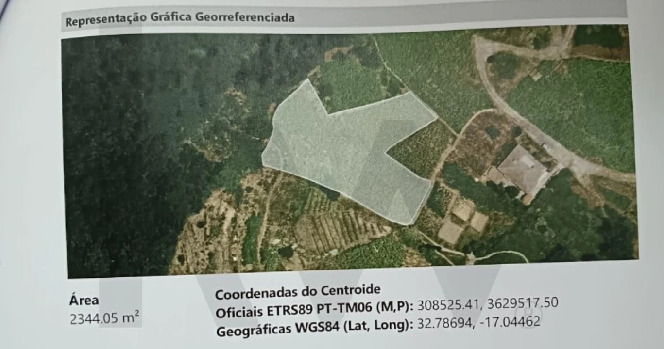 Terreno para Venda em São Vicente Foto 4