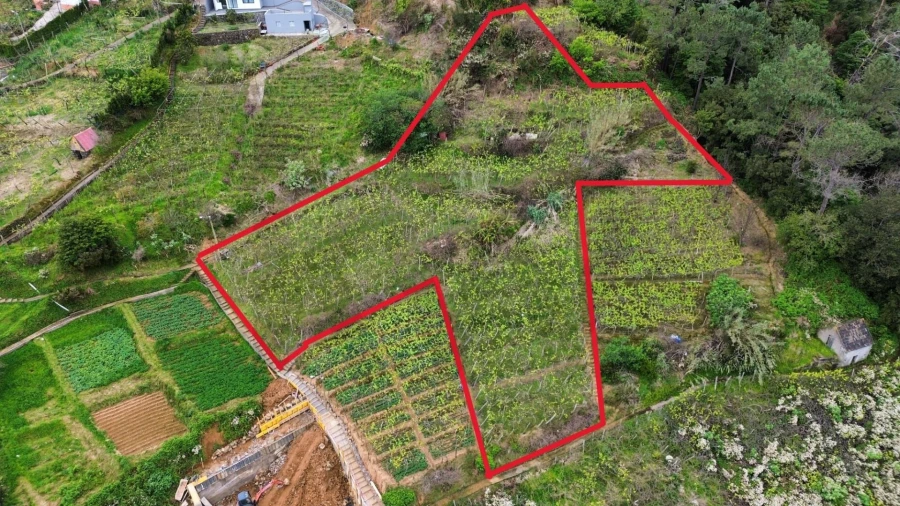 Terreno para Venda em São Vicente Foto 2