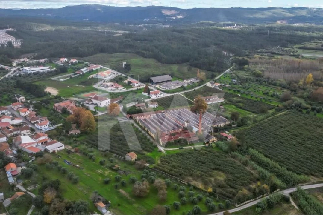 Terreno para Venda em Soure Foto 1