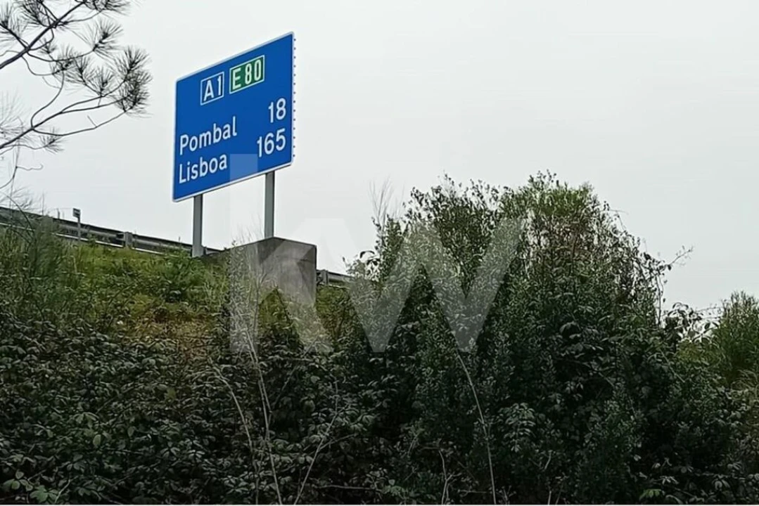 Terreno para Venda em Soure Foto 10