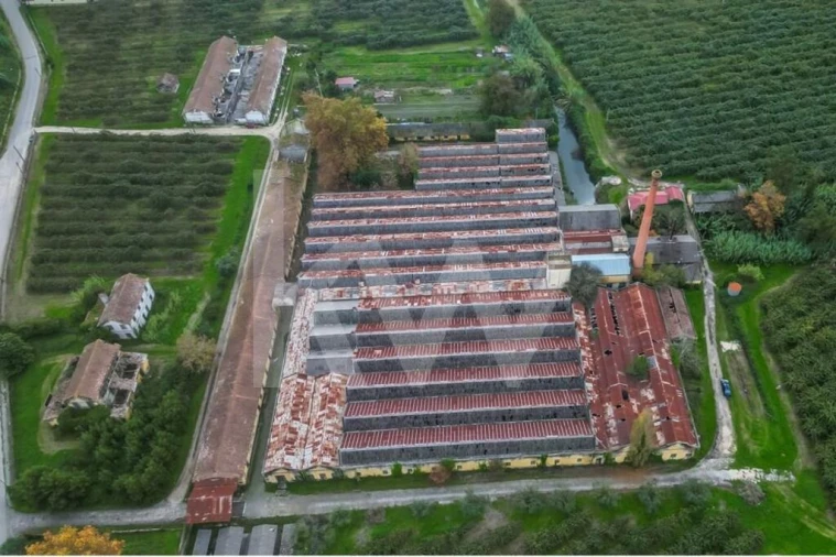 Terreno para Venda em Soure Foto 2