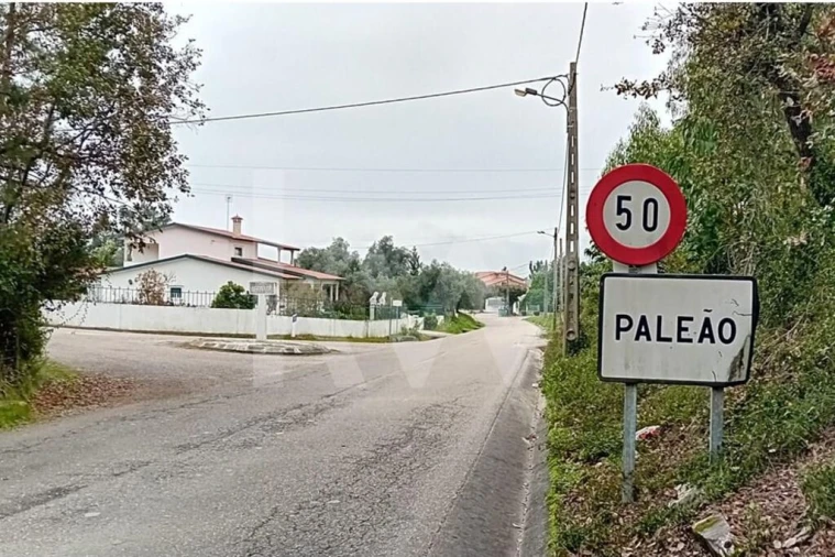 Terreno para Venda em Soure Foto 13