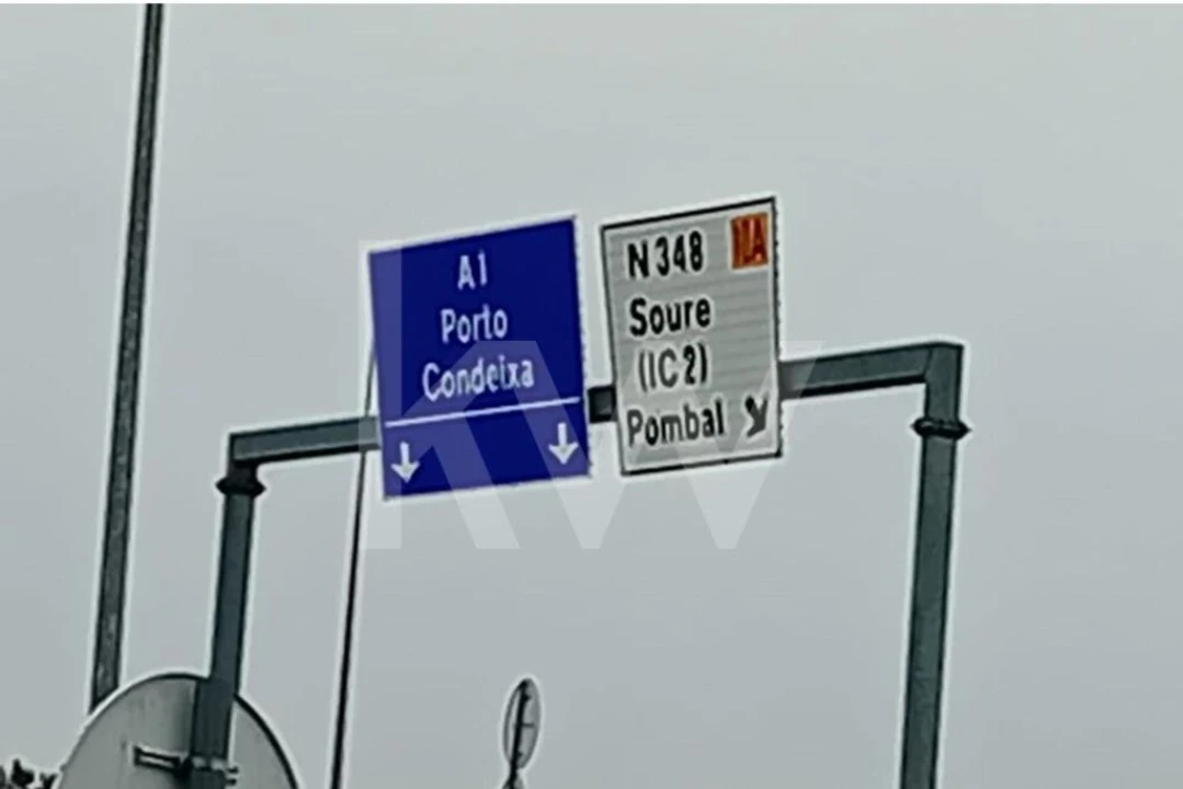 Terreno para Venda em Soure Foto 9