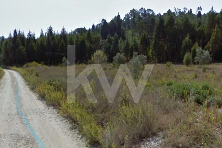 Terreno para Venda em Assafarge e Antanhol Foto 3