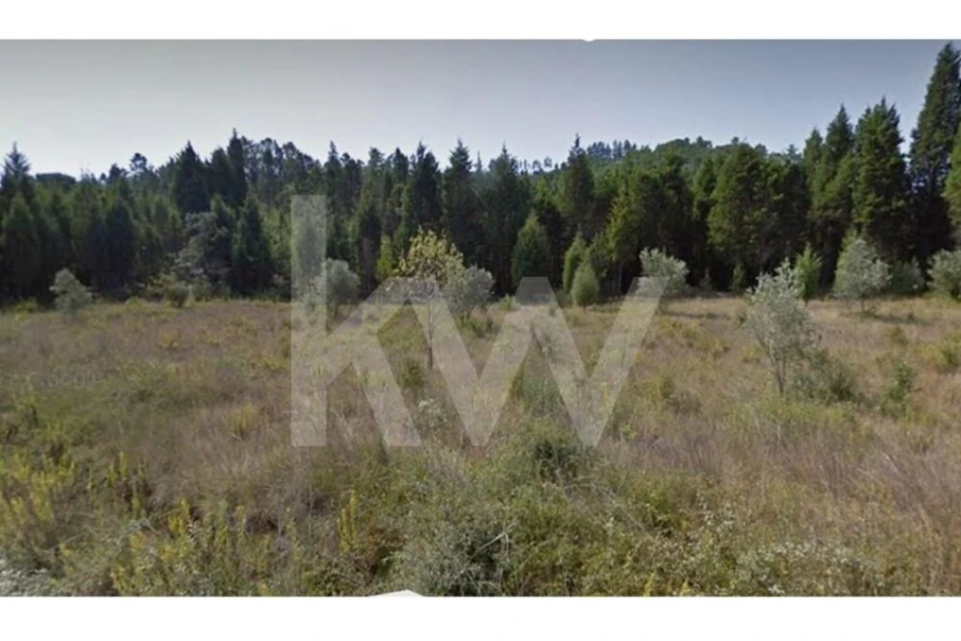 Terreno para Venda em Assafarge e Antanhol Foto 1