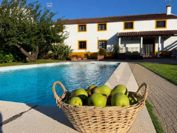 Quinta T5 para Venda em Painho e Figueiros