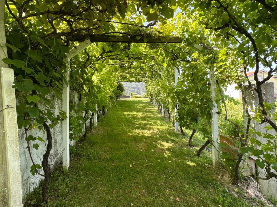 Quinta T5 para Venda em Painho e Figueiros Foto 10