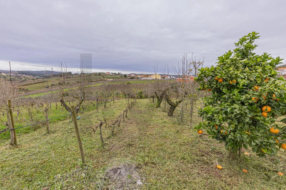 Quinta T5 para Venda em Painho e Figueiros Foto 61