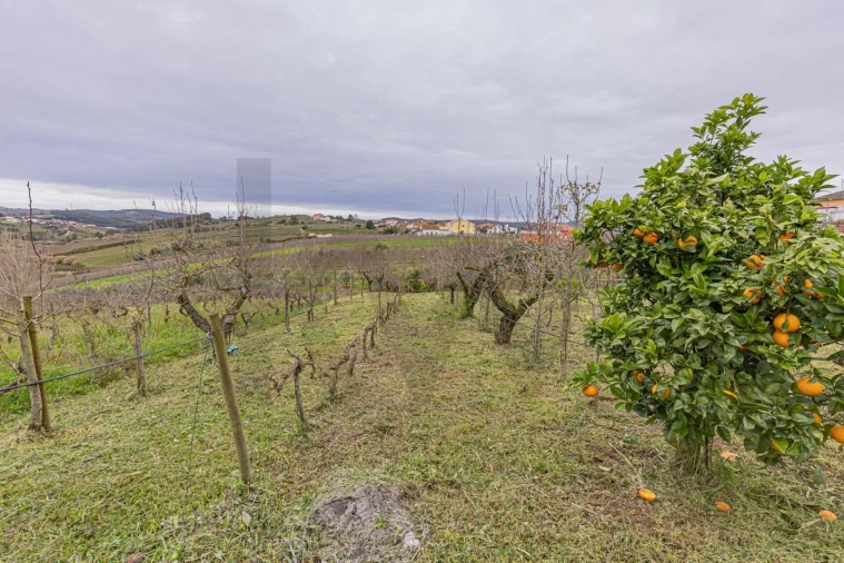 Quinta T5 para Venda em Painho e Figueiros Foto 61