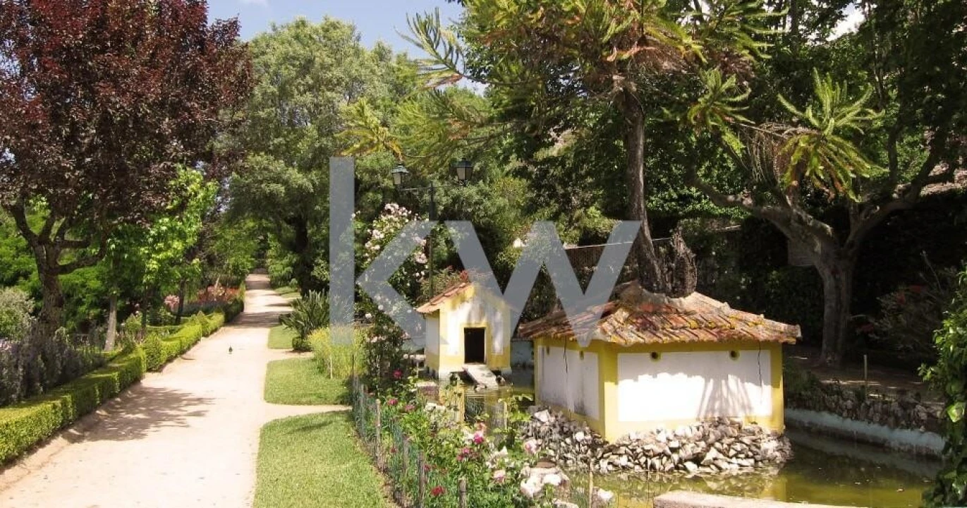 Prédio para Venda em Abrantes (São Vicente e São João) e Alferrarede Foto 4