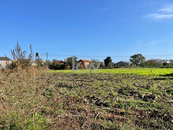 Moradia T3 para Venda em Glória e Vera Cruz Foto 30