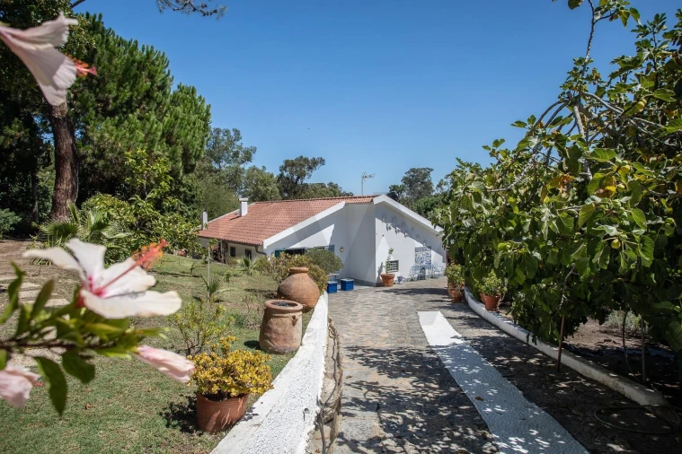 Moradia T5 para Venda em Caparica e Trafaria Foto 74