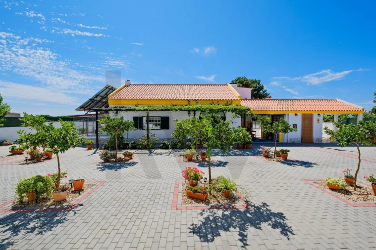 Quinta T4 para Venda em Montijo e Afonsoeiro Foto 13