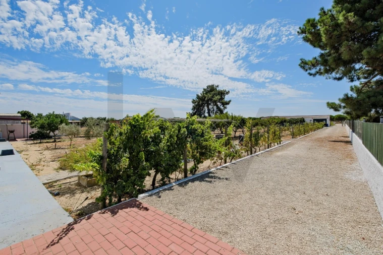 Quinta T4 para Venda em Montijo e Afonsoeiro Foto 32