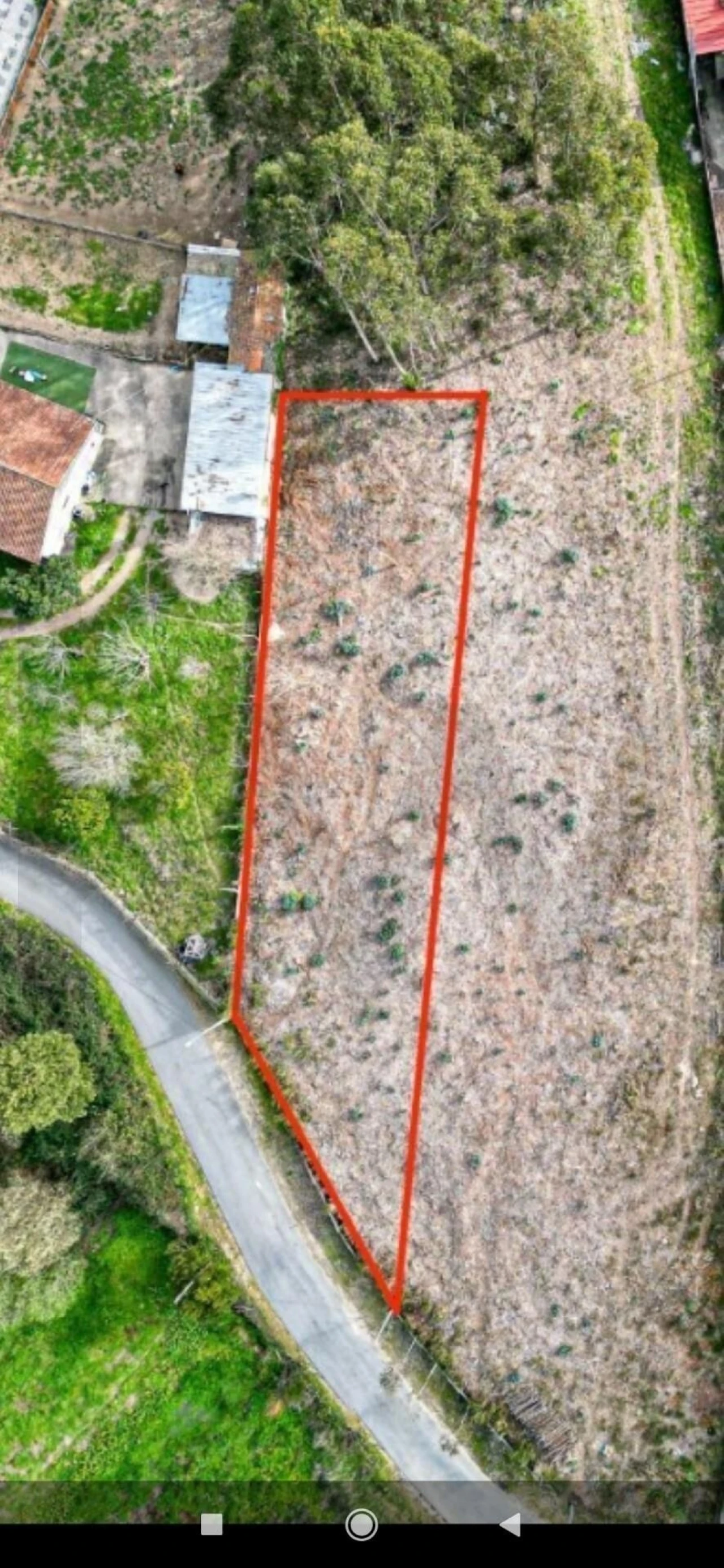 Terreno para Venda em Branca Foto 5