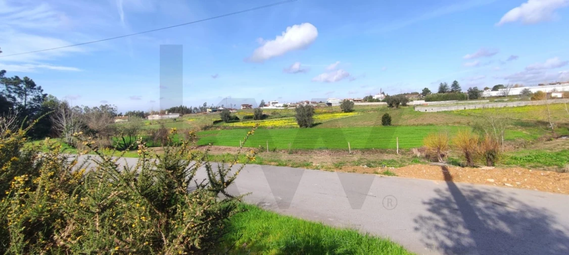 Terreno para Venda em Branca Foto 2