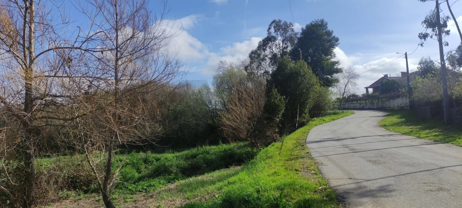 Terreno para Venda em Branca Foto 3