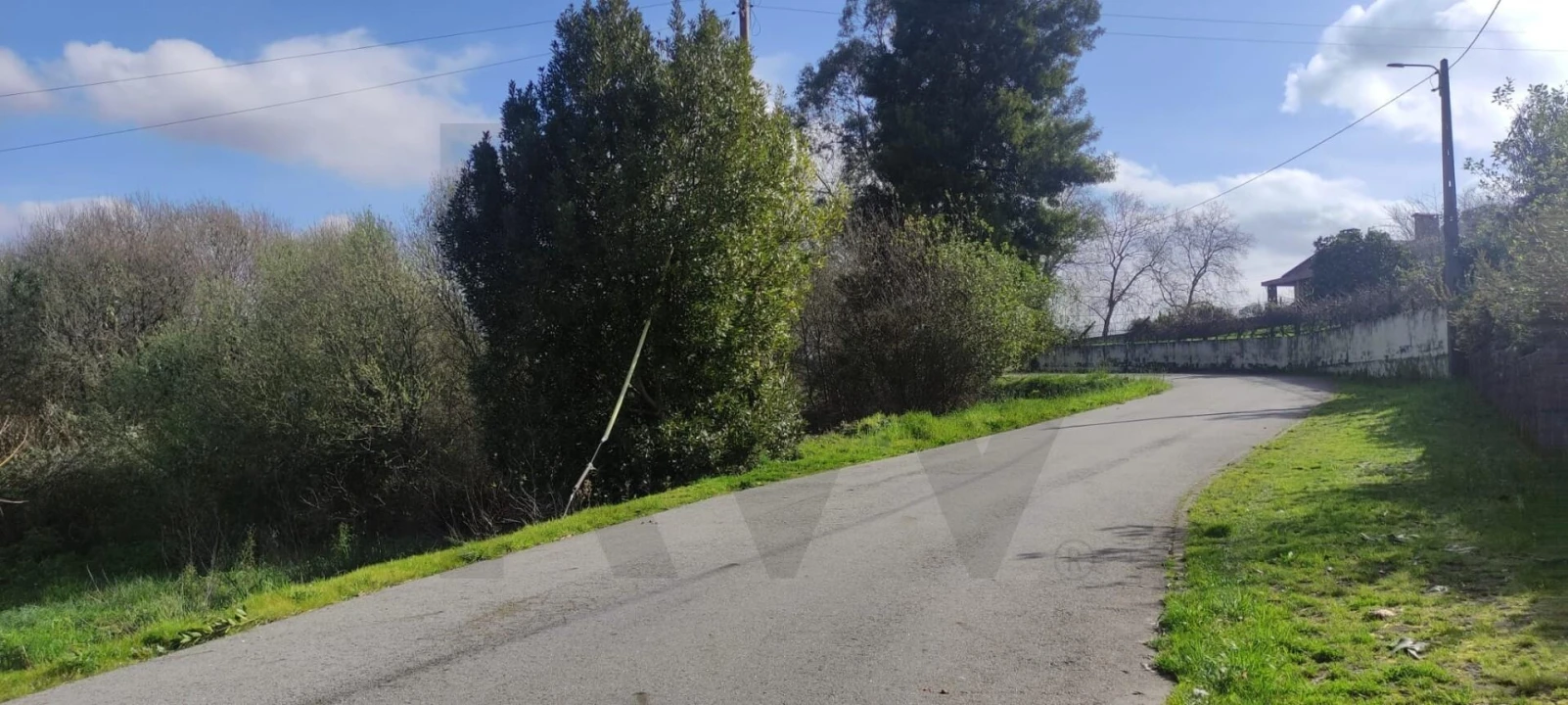 Terreno para Venda em Branca Foto 4