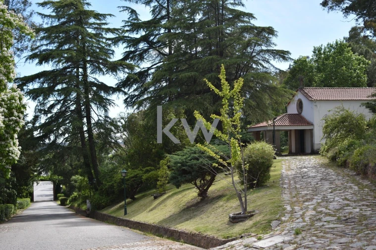 Prédio para Venda em Monfortinho e Salvaterra do Extremo Foto 50