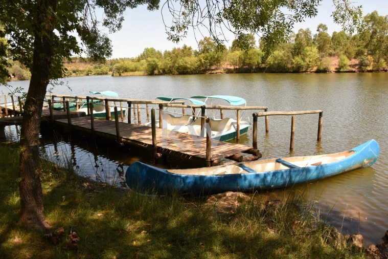 Prédio para Venda em Monfortinho e Salvaterra do Extremo Foto 48