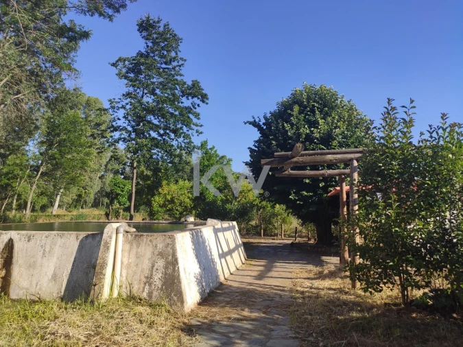 Prédio para Venda em Monfortinho e Salvaterra do Extremo Foto 41