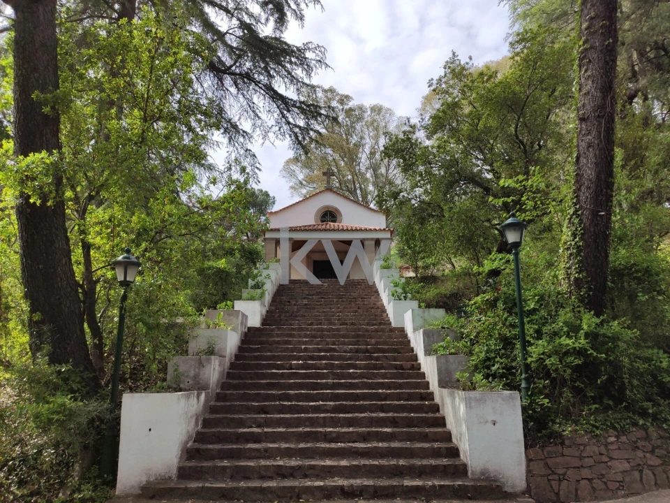 Prédio para Venda em Monfortinho e Salvaterra do Extremo Foto 49