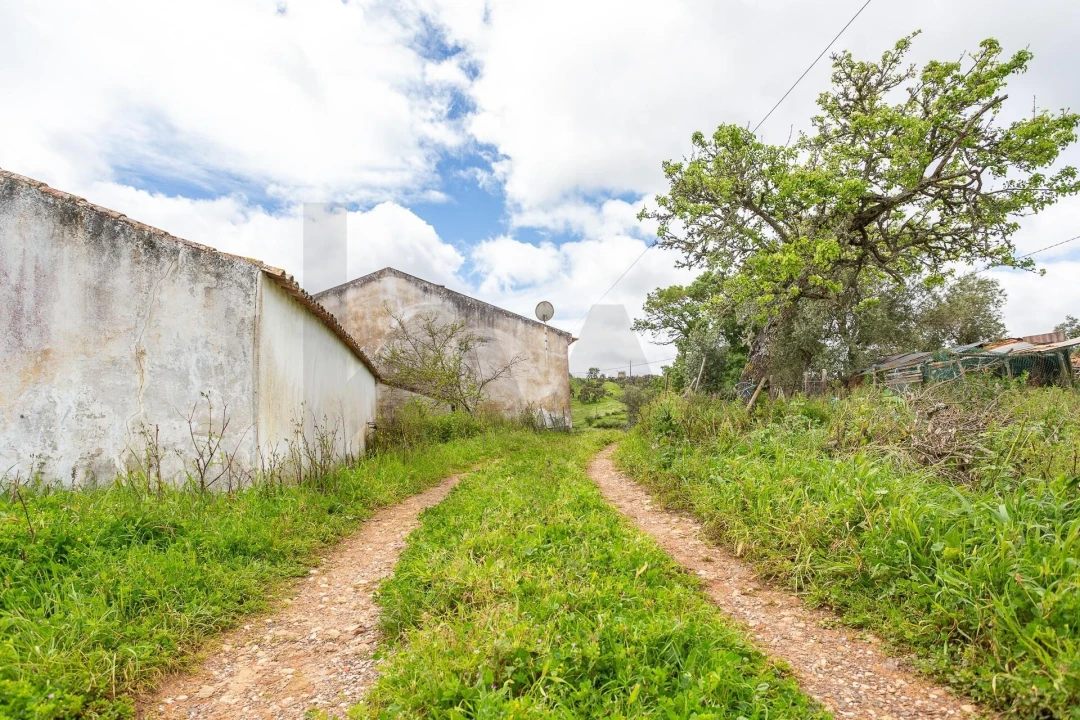 Terreno para Venda em Cercal Foto 33