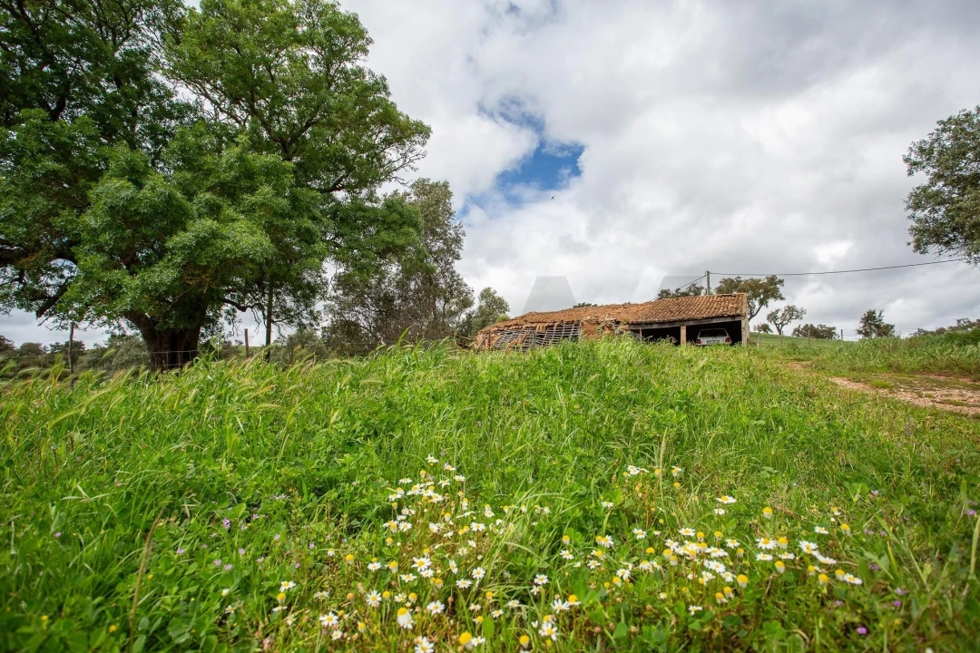 Terreno para Venda em Cercal Foto 15
