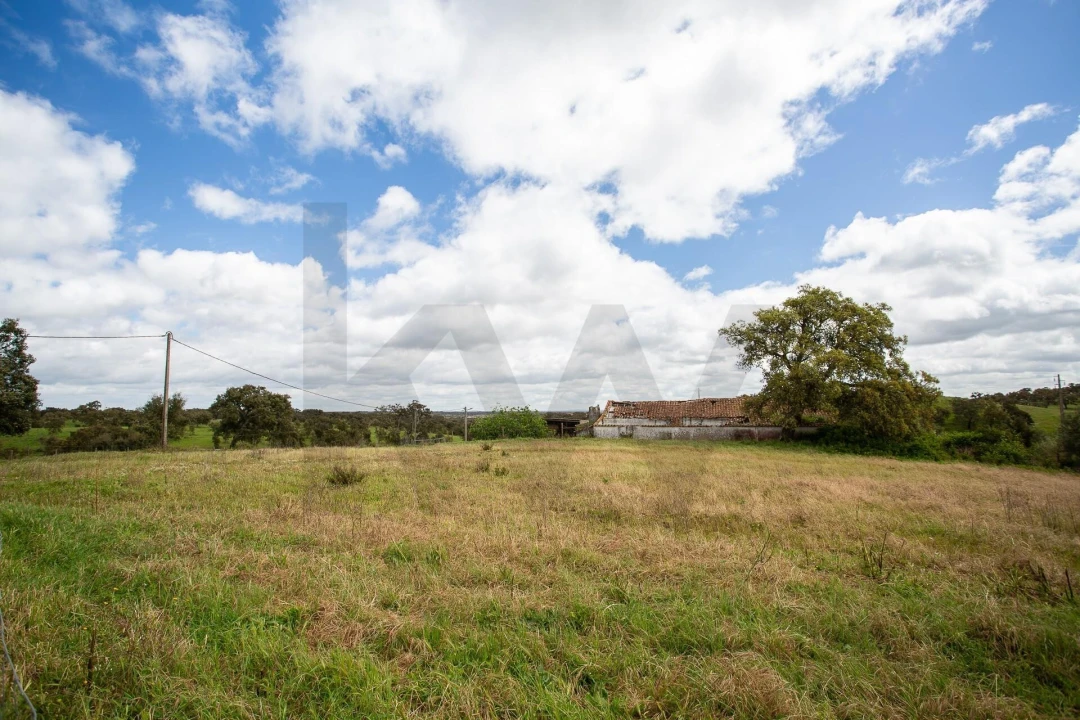Terreno para Venda em Cercal Foto 10