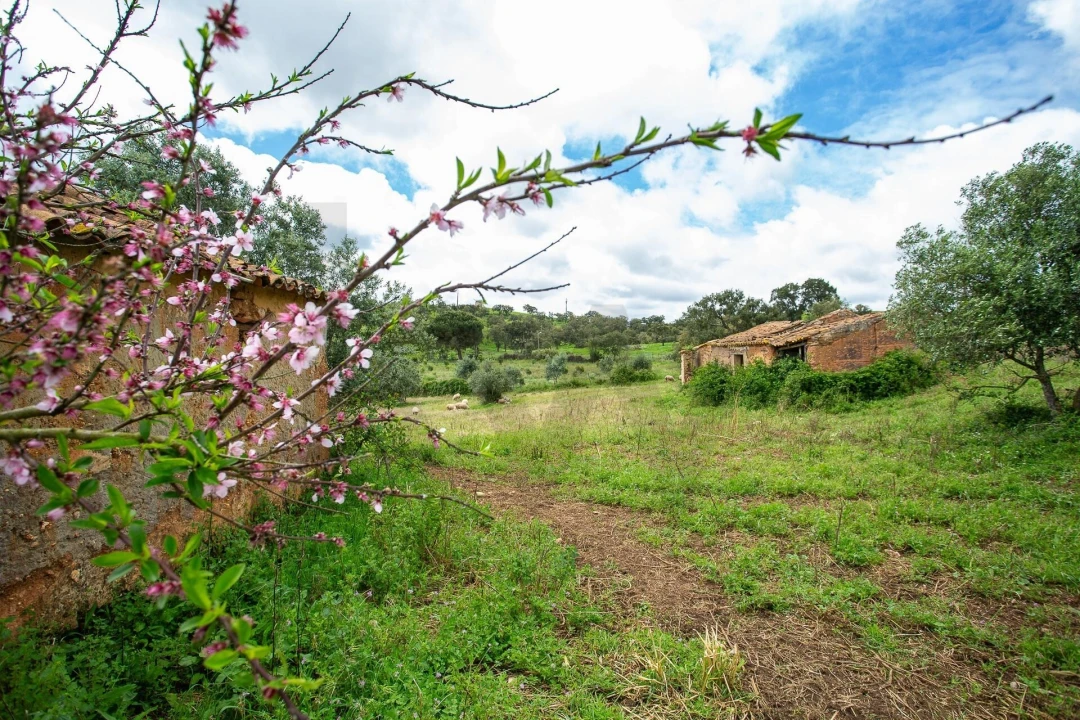 Terreno para Venda em Cercal Foto 20