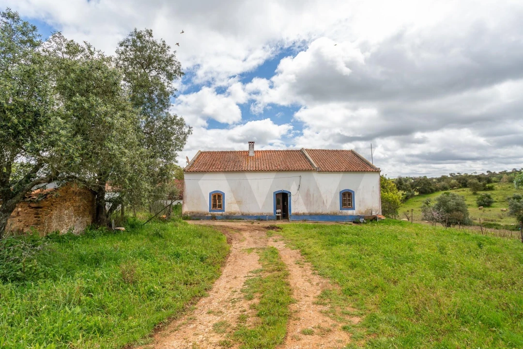 Terreno para Venda em Cercal Foto 26