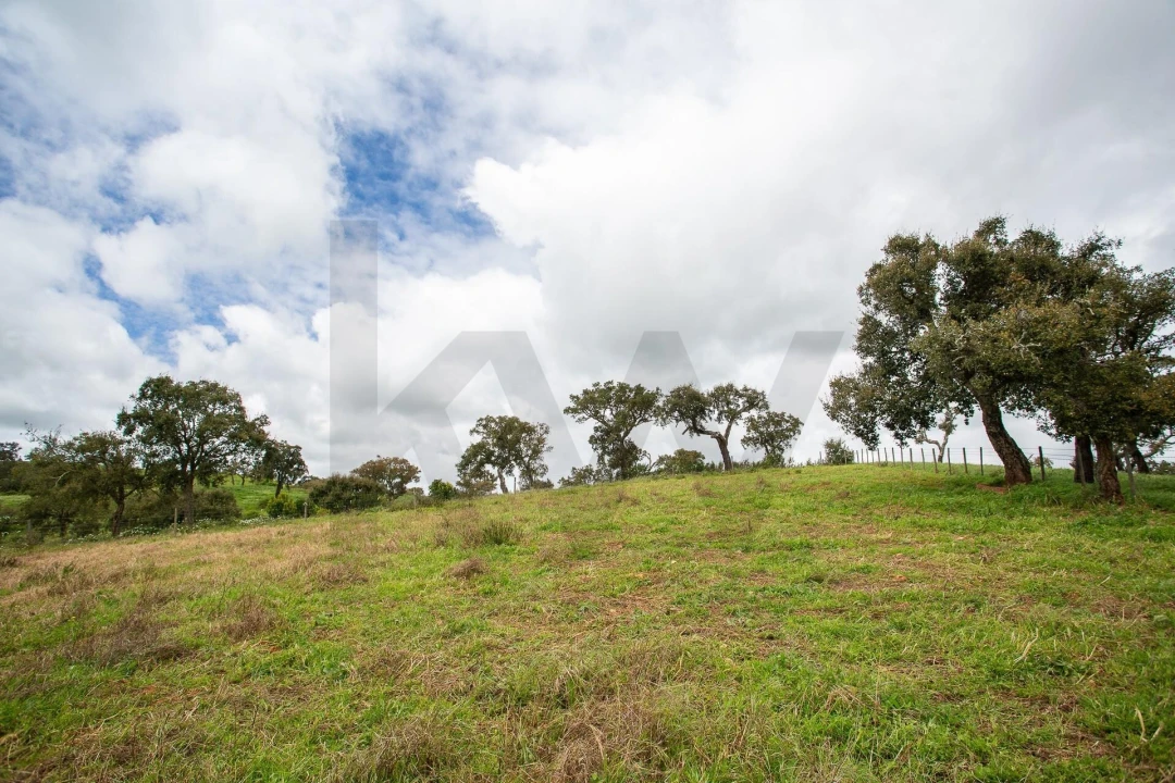 Terreno para Venda em Cercal Foto 24