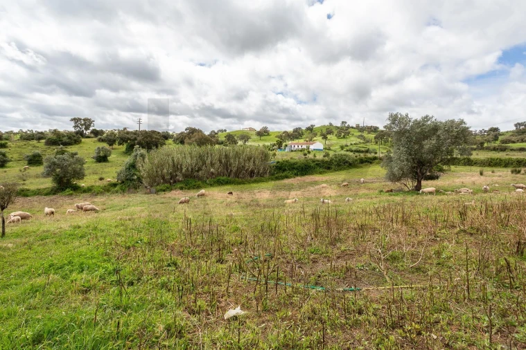 Terreno para Venda em Cercal Foto 12