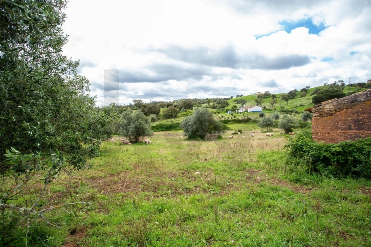 Terreno para Venda em Cercal Foto 22