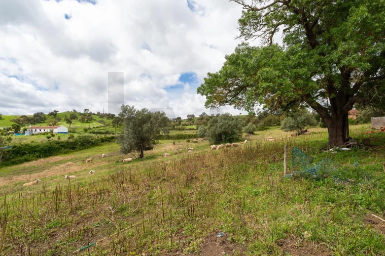 Terreno para Venda em Cercal Foto 13